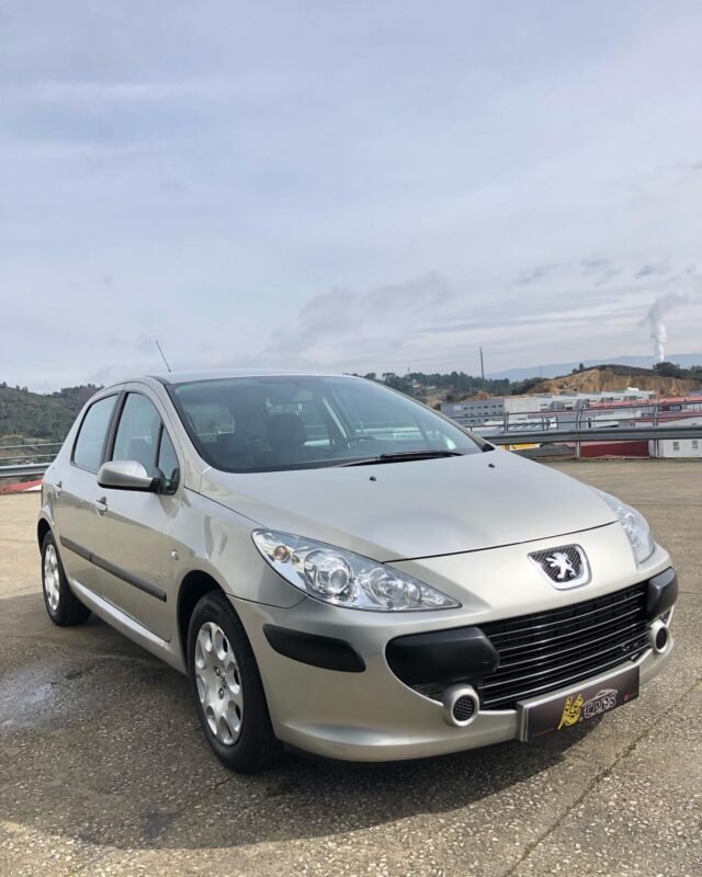 PEUGEOT 307 1.6 16v Desing