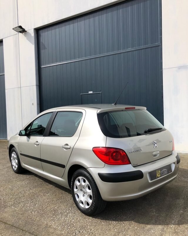 PEUGEOT 307 1.6 16v Desing