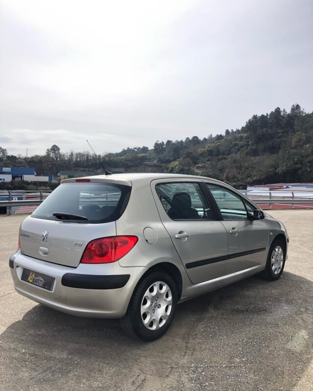PEUGEOT 307 1.6 16v Desing